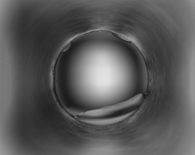X0000088861151200706151731