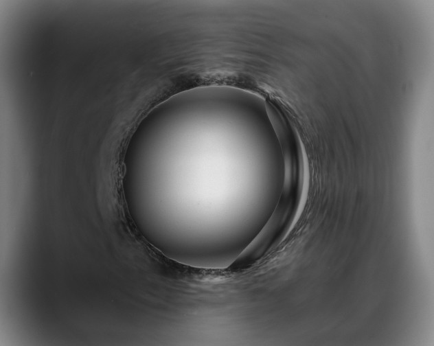 X0000088861153200706151730