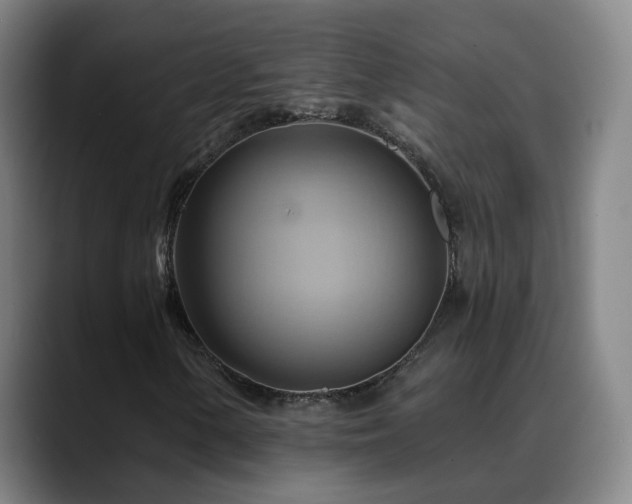 X0000088861154200706151730
