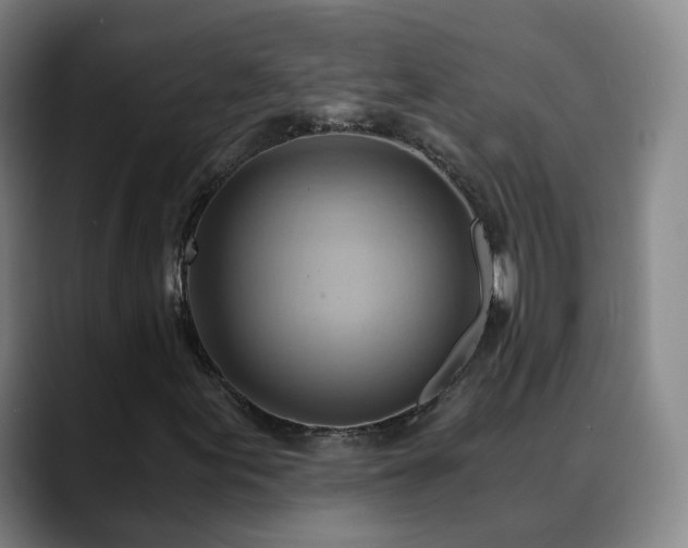 X0000088861155200706151730