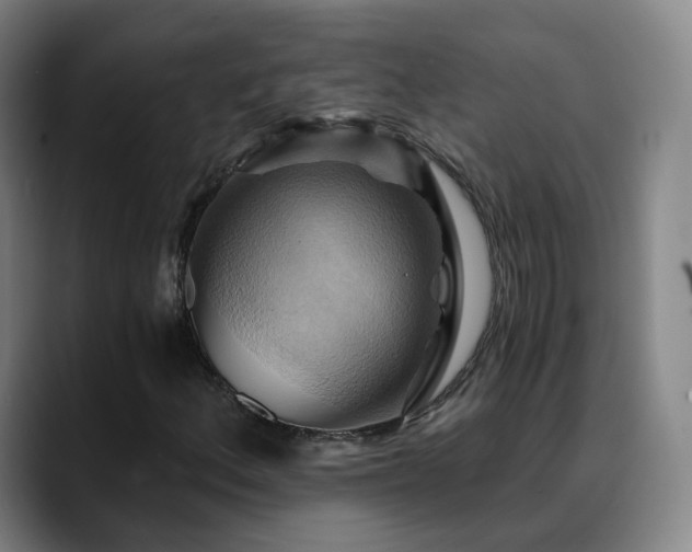 X0000088861156200706151730