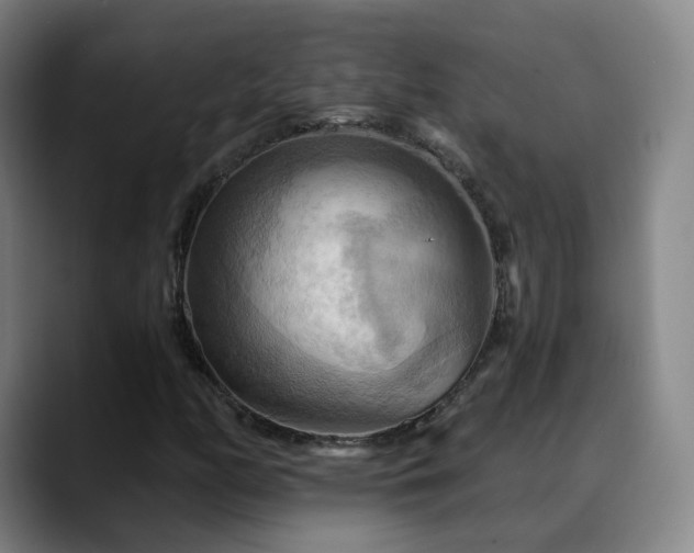 X0000088861158200706151730
