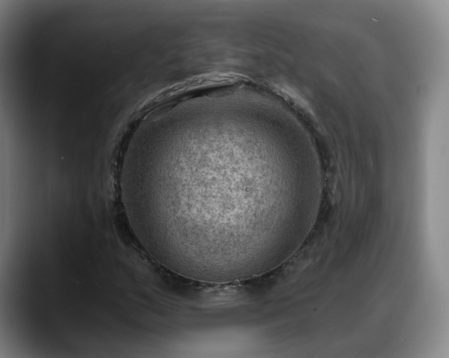 X0000088861159200706151730