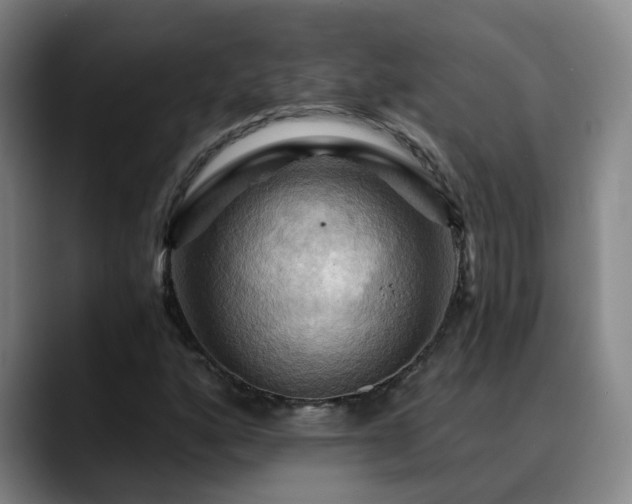 X0000088861160200706151730