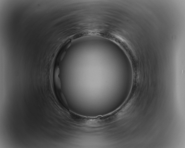 X0000088861161200706151730