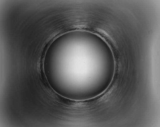 X0000088861162200706151730