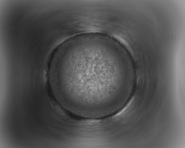X0000088861163200706151730