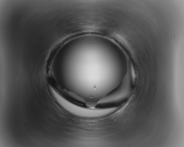 X0000088861164200706151730