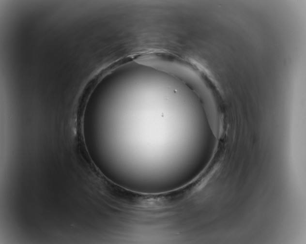 X0000088861165200706151730