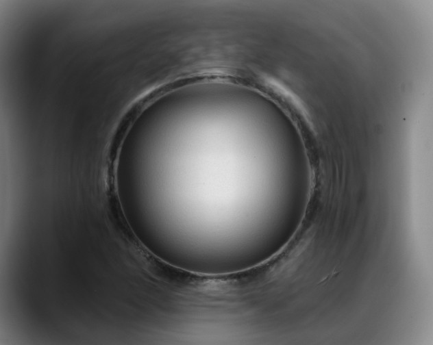 X0000088861166200706151730