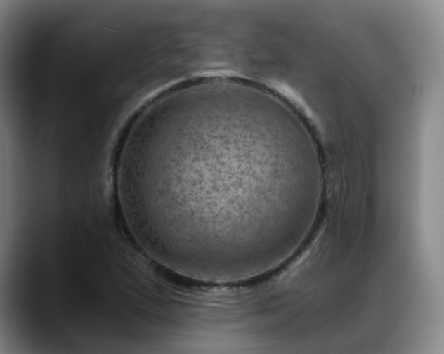 X0000088861167200706151730