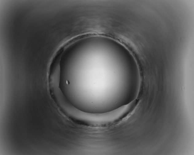 X0000088861168200706151730