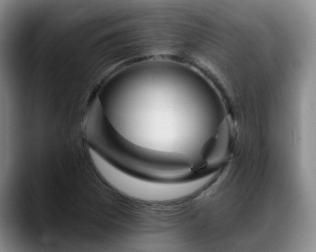 X0000088861169200706151730