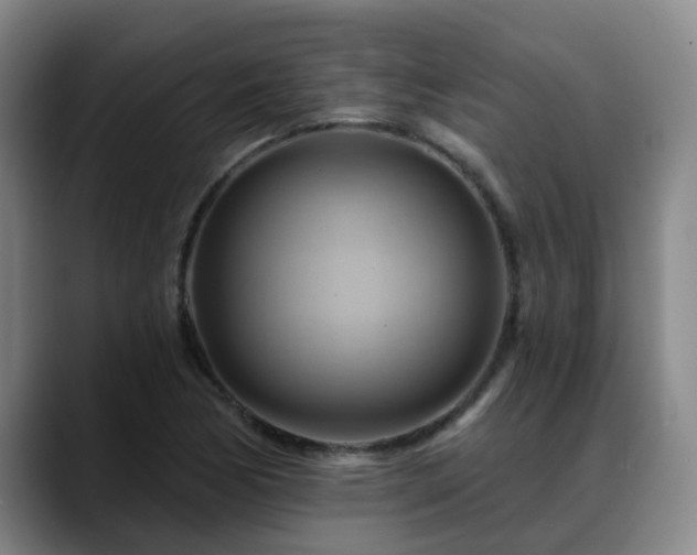 X0000088861170200706151730