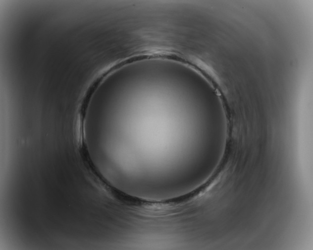 X0000088861171200706151730