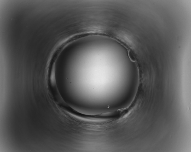X0000088861172200706151730