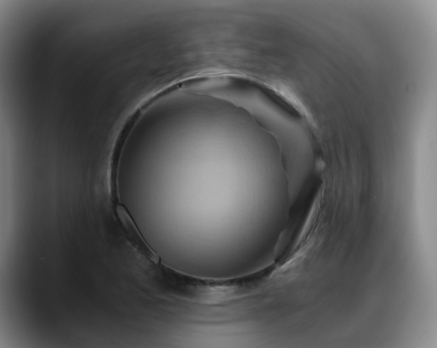 X0000088861173200706151730