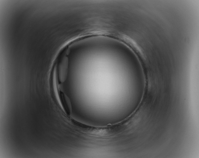 X0000088861174200706151730
