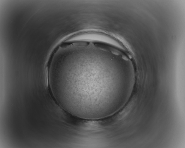 X0000088861175200706151730