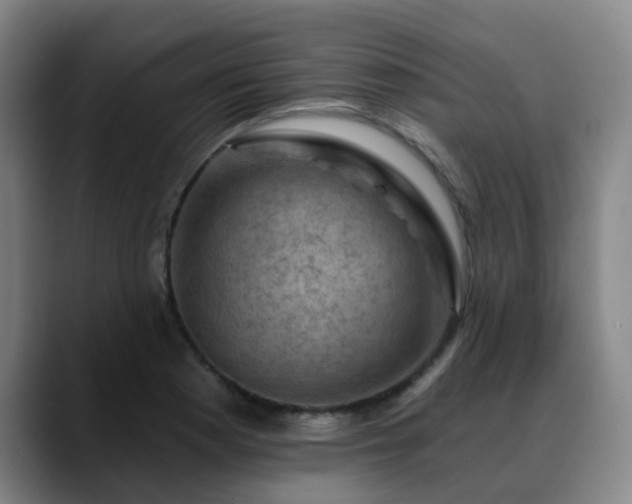 X0000088861177200706151730
