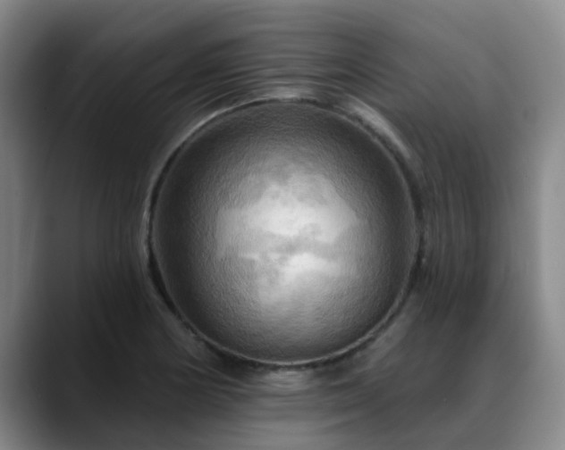 X0000088861178200706151730