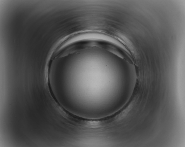 X0000088861180200706151730