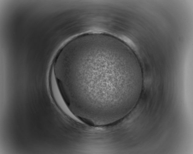 X0000088861183200706151730