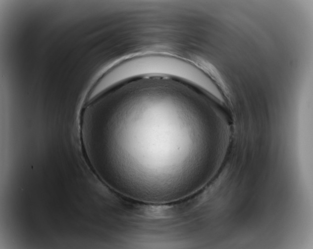 X0000088861184200706151730