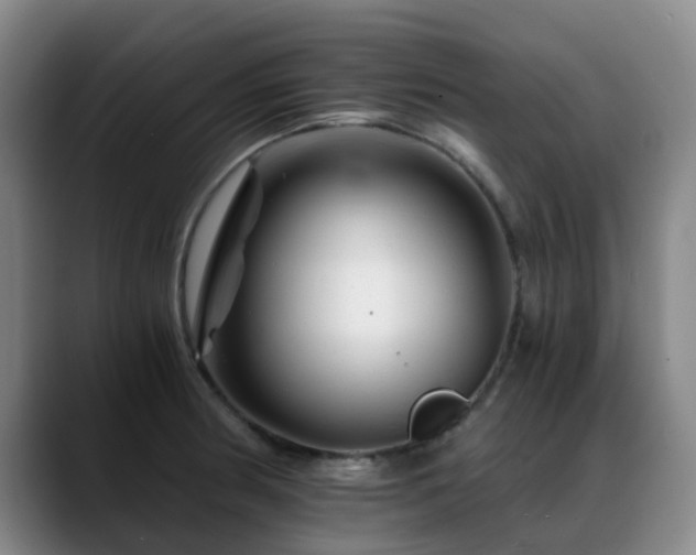X0000088861186200706151730