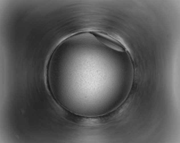 X0000088861187200706151730