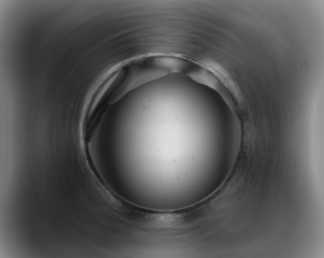 X0000088861188200706151730