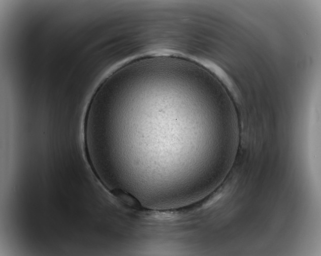 X0000088861191200706151730