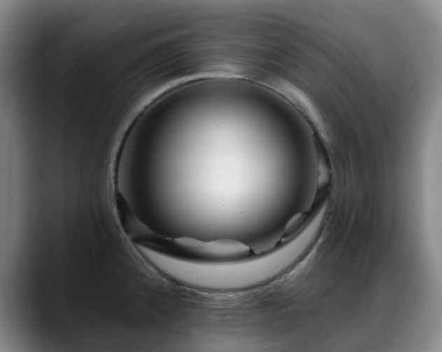 X0000088861192200706151730