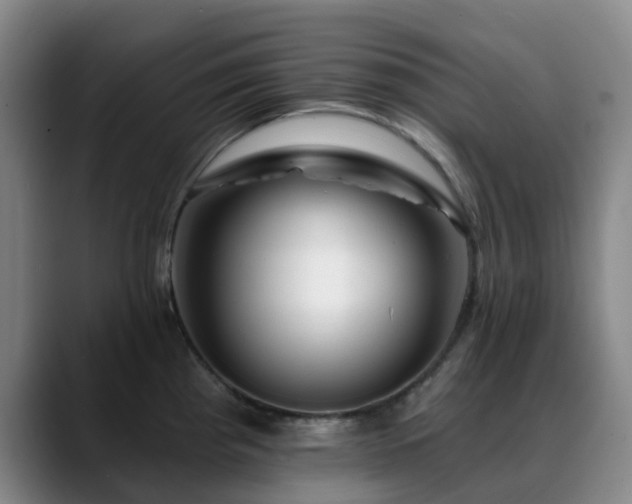 X0000088861193200706151730