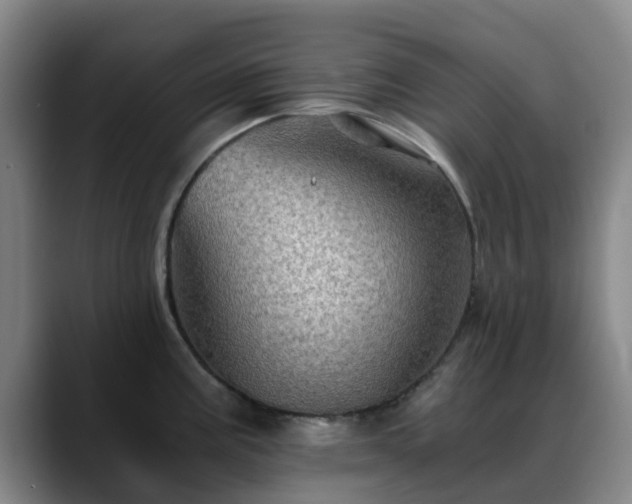 X0000088861195200706151730