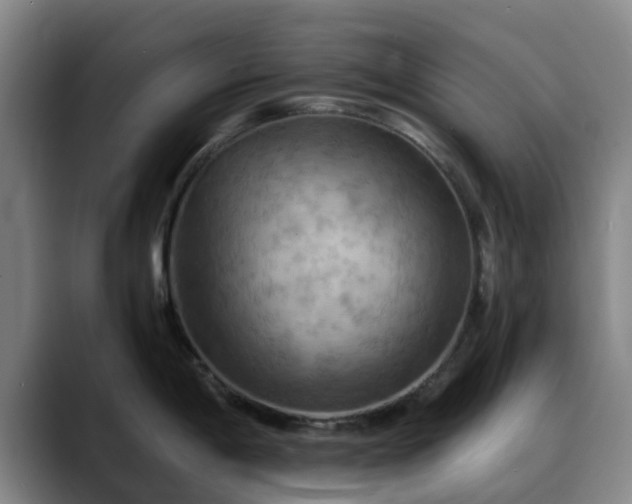 X0000088861198200706151730