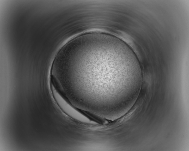 X0000088861199200706151730