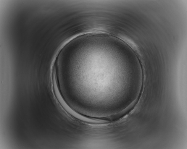 X0000088861200200706151730