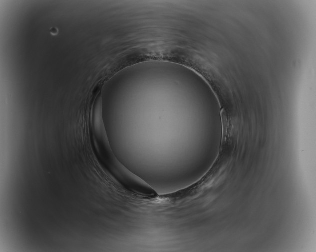 X0000088861202200706151729