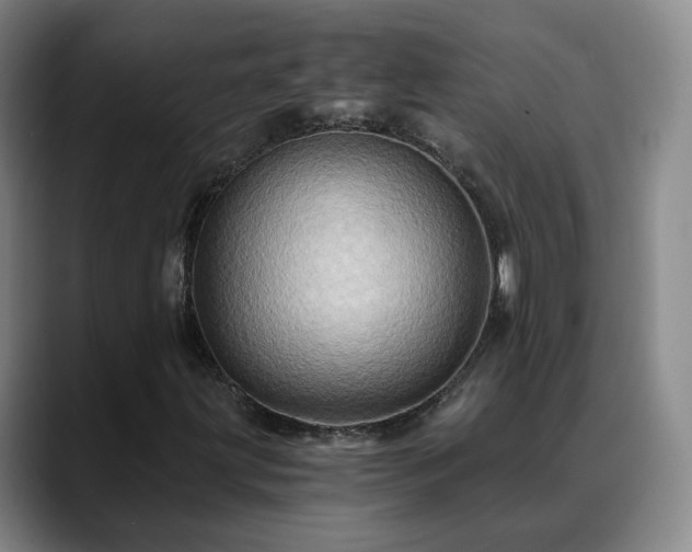 X0000088861203200706151729