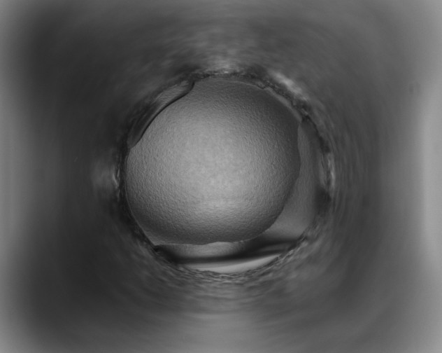X0000088861206200706151729