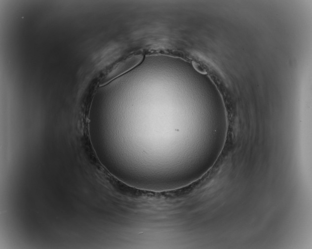 X0000088861207200706151729