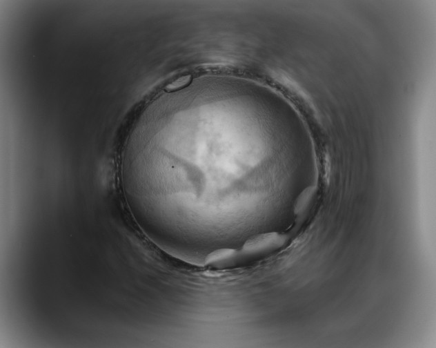 X0000088861208200706151729