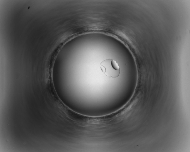 X0000088861211200706151729