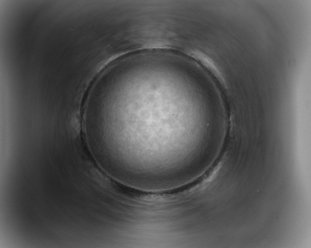 X0000088861212200706151729