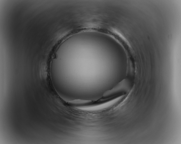 X0000088861213200706151729