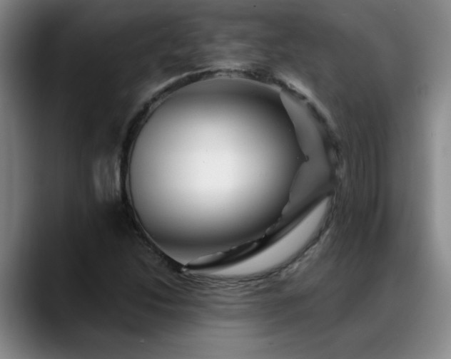 X0000088861214200706151729