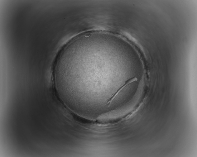 X0000088861215200706151730
