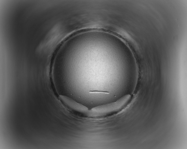 X0000088861216200706151730