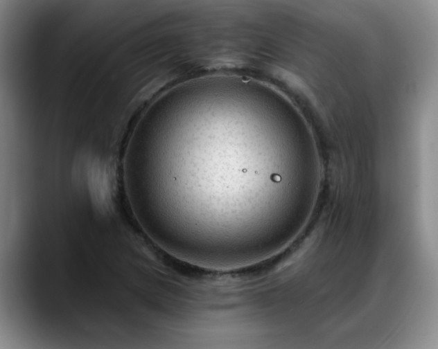 X0000088861217200706151730